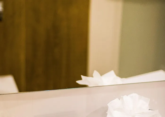 ホテル Tryp By Wyndham 4*